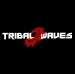 Tribal-Waves-and-friends-Kashmir-Lounge-logo.jpg