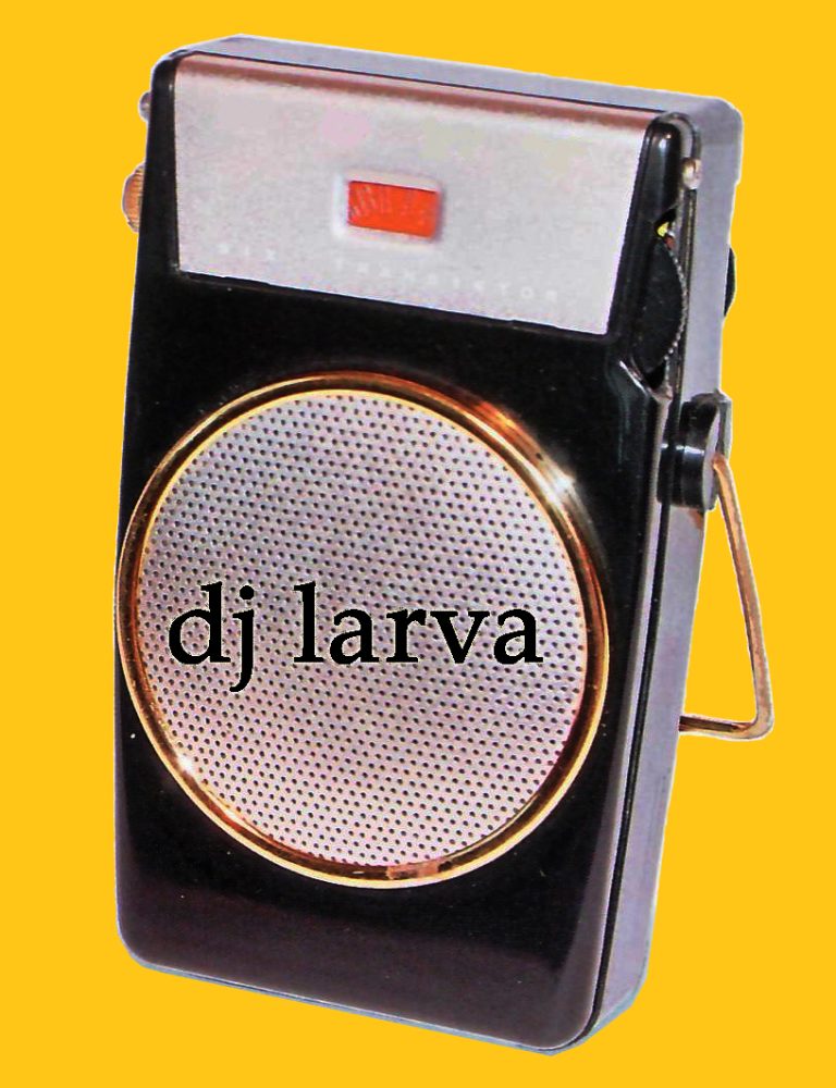 Larva